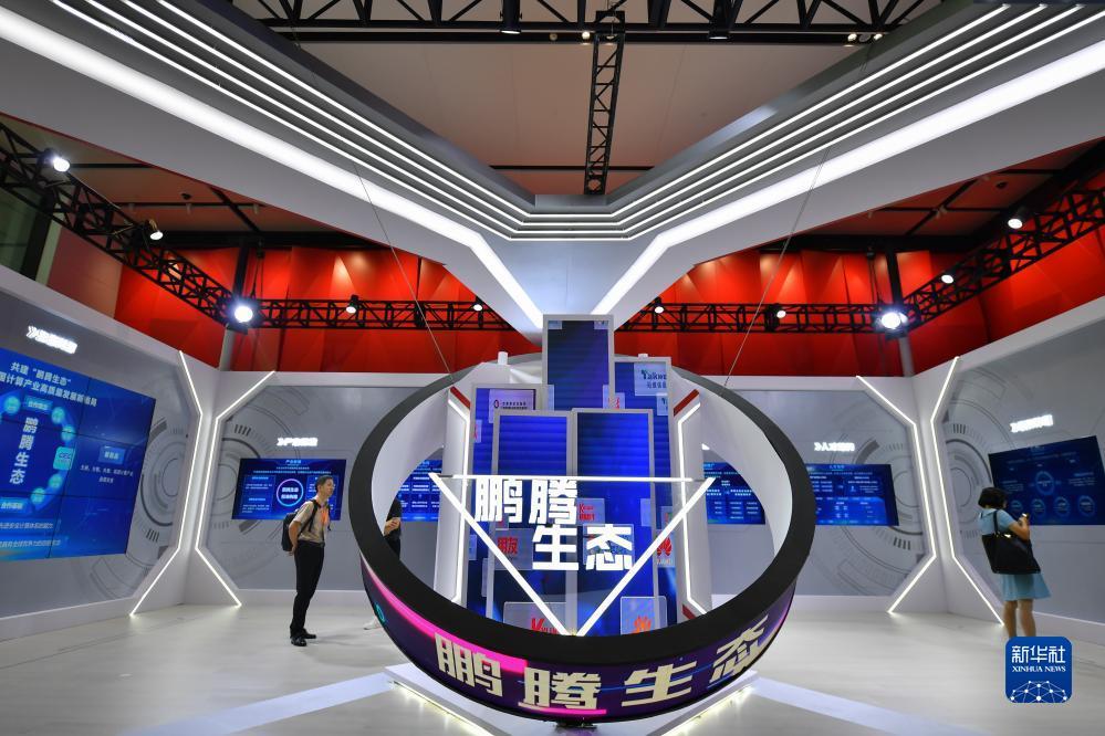 庄龙宝是什么意思